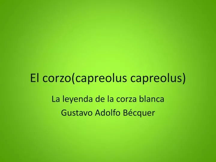 el corzo capreolus capreolus