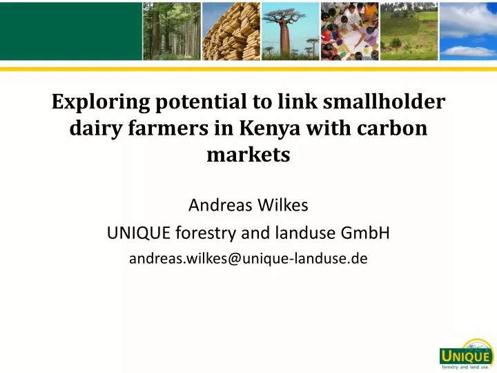 exploring potential to link smallholder dairy farmers in kenya with carbon markets