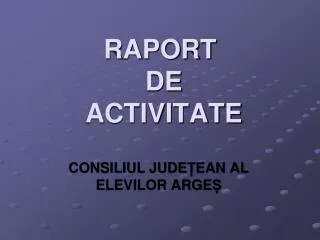 raport de activitate