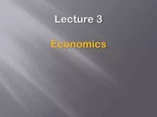 Lecture 3 Economics