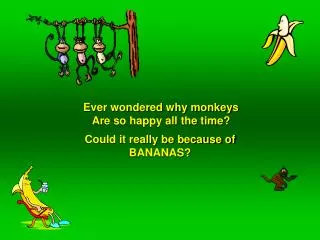 Ever wondered why monkeys Are so happy all the time?