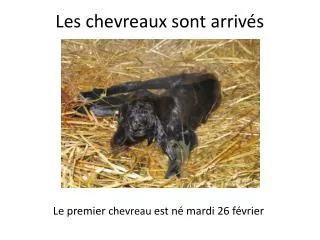 les chevreaux sont arriv s
