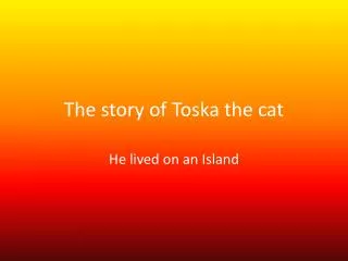 The story of Toska the cat
