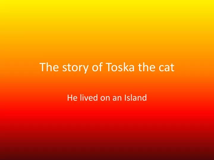 the story of toska the cat