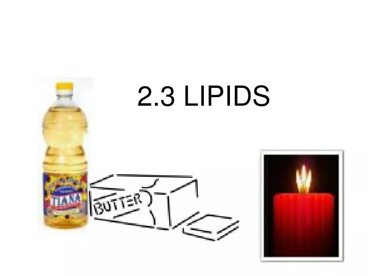 2 3 lipids