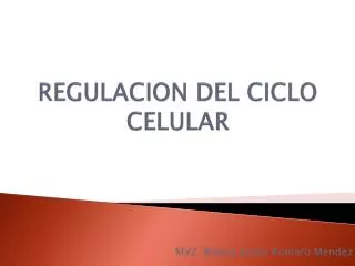 regulacion del ciclo celular