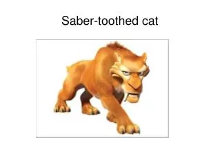 Saber-toothed cat