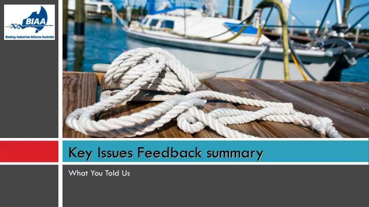 key issues feedback summary