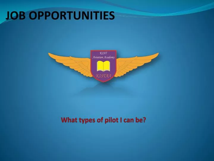 what types of pilot i can be