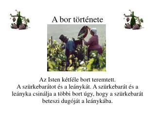 a bor t rt nete