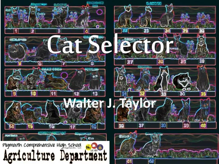 cat selector