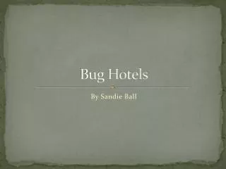 Bug Hotels