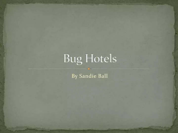 bug hotels