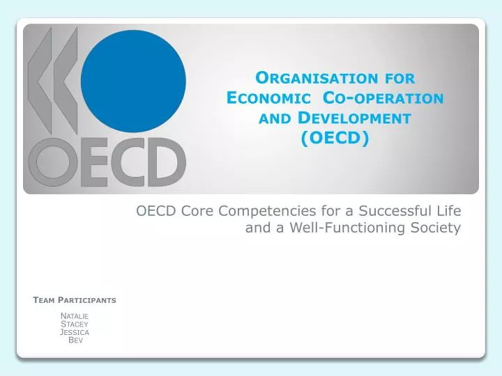 oecd core competencies for a successful life and a well functioning society