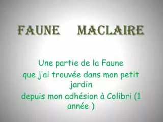 faune maclaire