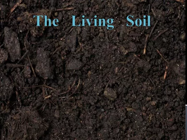 the living soil