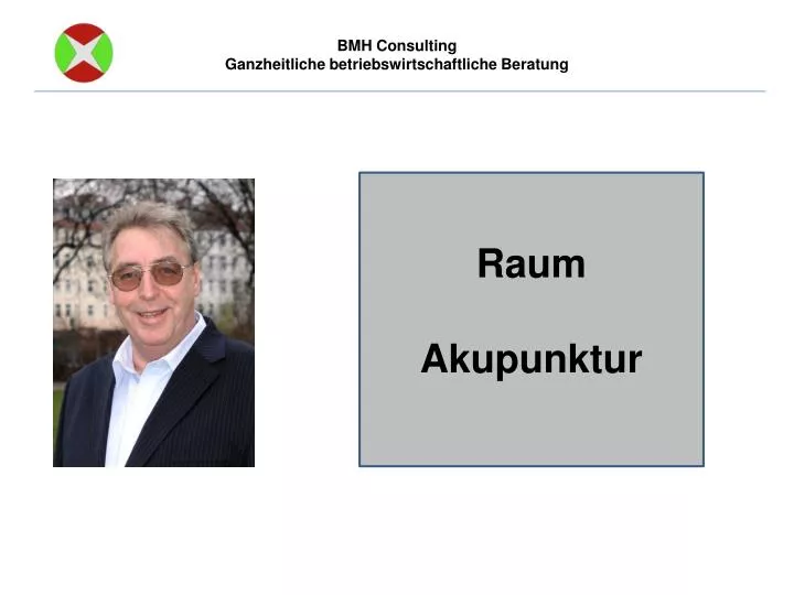 bmh consulting ganzheitliche betriebswirtschaftliche beratung