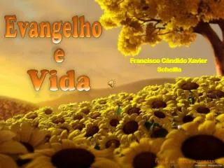 evangelho