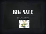 BIG NATE - slide 1
