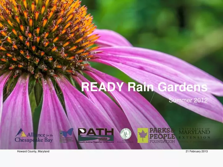 ready rain gardens