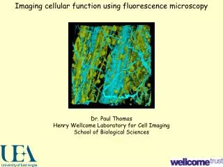 Imaging cellular function using fluorescence microscopy
