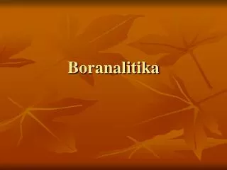 boranalitika
