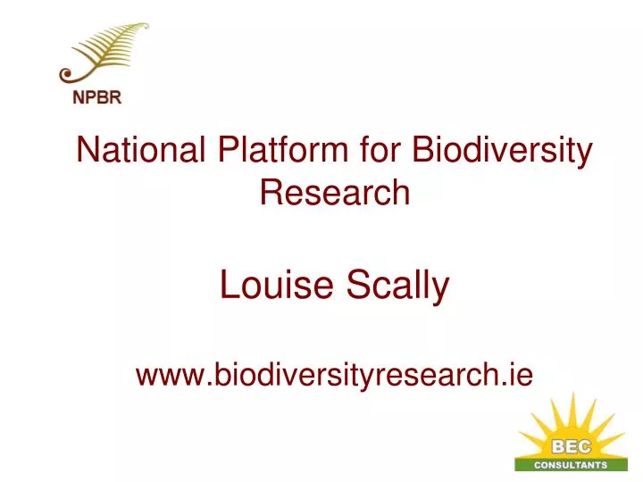 national platform for biodiversity research louise scally www biodiversityresearch ie