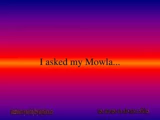 I asked my Mowla...