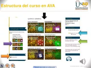 estructura del curso en ava