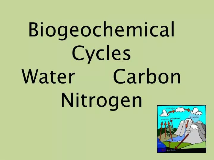 biogeochemical cycles water carbon nitrogen