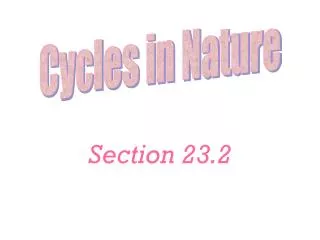 Section 23.2