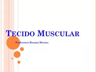 tecido muscular