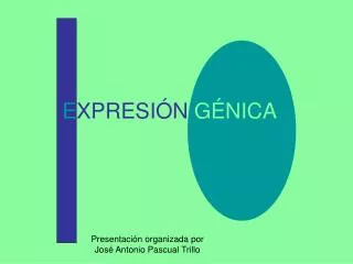 e xpresi n g nica