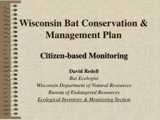 Wisconsin Bat Conservation &amp; Management Plan