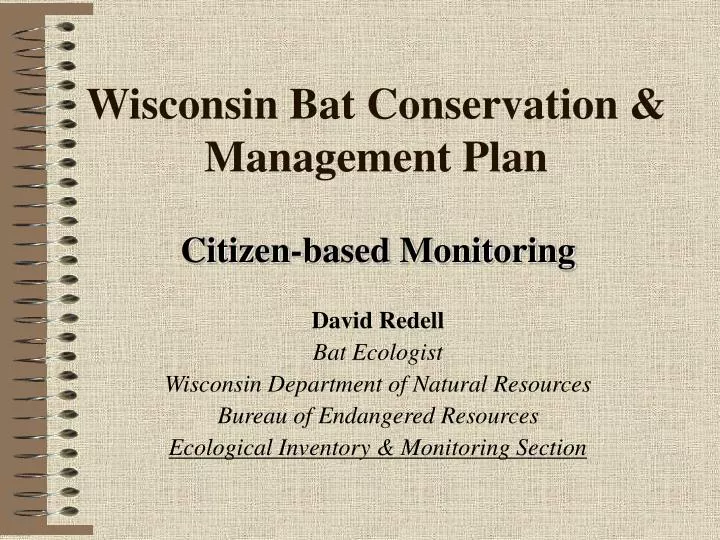 wisconsin bat conservation management plan