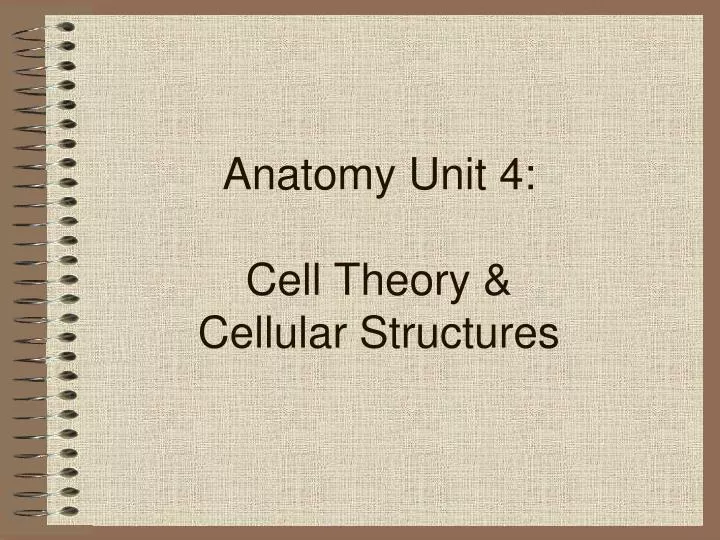 anatomy unit 4 cell theory cellular structures
