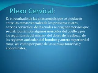 plexo cervical