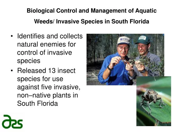 biological control and management of aquatic weeds invasive species in south florida