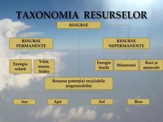 taxonomia resurselor