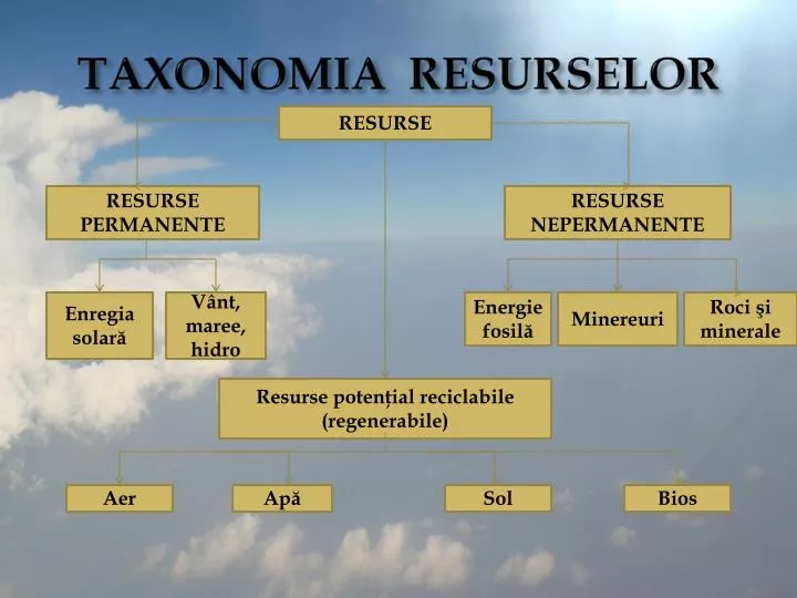 taxonomia resurselor