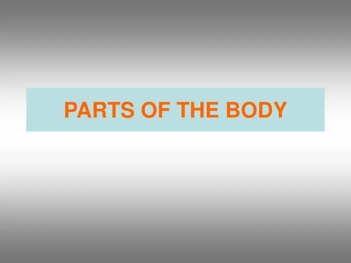 parts of the body