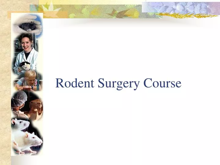 rodent surgery course