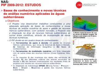 nas pip 2009 2012 estudos