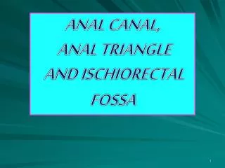 ANAL CANAL, ANAL TRIANGLE AND ISCHIORECTAL FOSSA