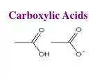 Carboxylic Acids - slide 1