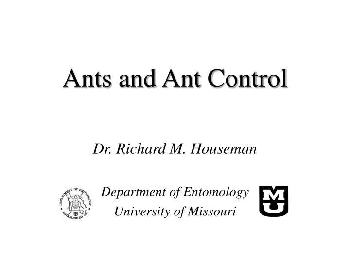 ants and ant control