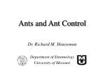 Ants and Ant Control - slide 1