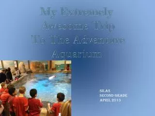 My Extremely Awesome Trip To The Adventure Aquarium