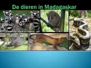 van kay luuk en freddy