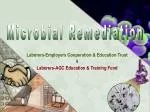 Enhancing Indoor Air Quality through Effective Microbial Remediation Training for Workers - slide 1